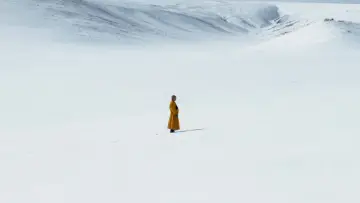 Backdrop to the movie "The Medicine Buddha" #403293