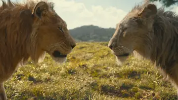 Backdrop to the movie "Mufasa: The Lion King" #557055