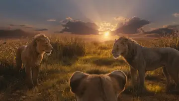 Backdrop to the movie "Mufasa: The Lion King" #557058