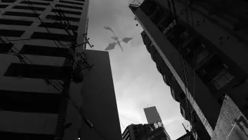 Backdrop to the movie "The 12 Day Tale of the Monster that Died in 8" #1105405