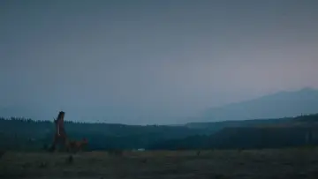 Backdrop to the movie "Prey" #626140