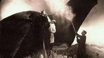 Backdrop to the movie "The Language of Shadows: The Masterpiece: 