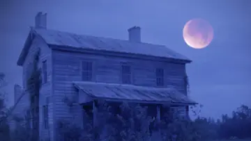 Backdrop to the movie "Pink Hill" #482742