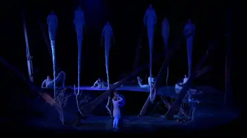Backdrop to the movie "Dvořák:  Rusalka" #1250724