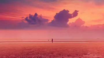 Backdrop to the movie "The Almond and the Seahorse" #1076360