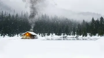 Backdrop to the movie "Last Survivors" #1026579