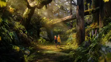 Backdrop to the movie "Wildwood" #1160062