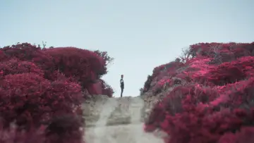 Backdrop to the movie "Who Do I Belong To" #1082643