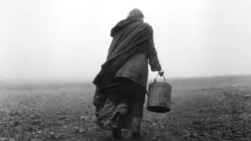 Backdrop to the movie "The Turin Horse" #985208
