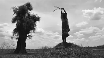 Backdrop to the movie "The Turin Horse" #985209