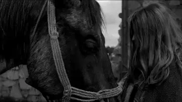 Backdrop to the movie "The Turin Horse" #985211