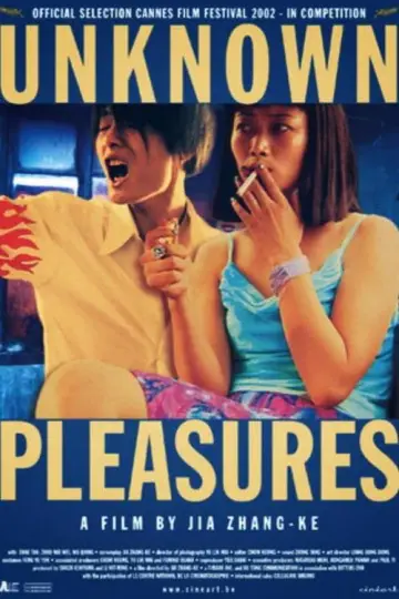 Poster to the movie "Unknown Pleasures" #916052