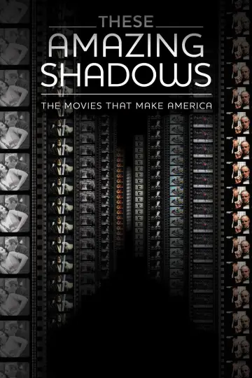 These Amazing Shadows poster