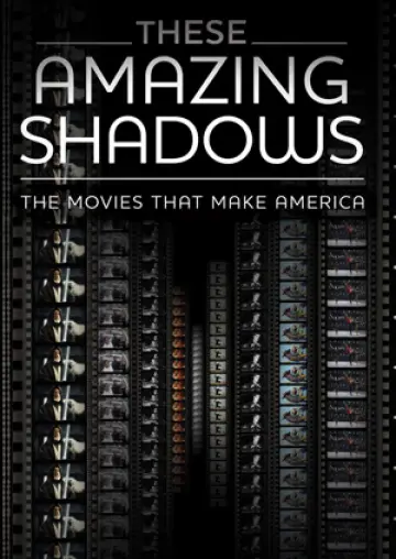 Poster to the movie "These Amazing Shadows" #1150217
