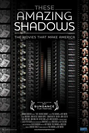 Poster to the movie "These Amazing Shadows" #1150218
