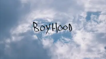 Backdrop to the movie "Boyhood" #859779