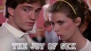 Backdrop to the movie "Joy of Sex" #1014616