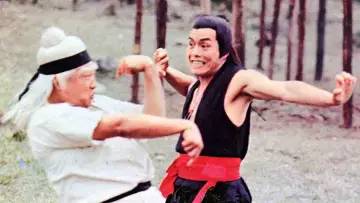 Backdrop to the movie "Shaolin Traitorous" #1161653