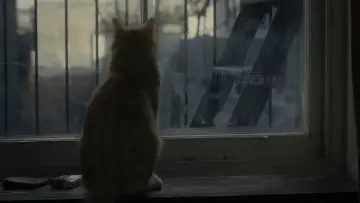 Backdrop to the movie "Inside Llewyn Davis" #881692