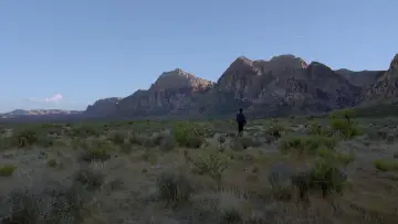 Backdrop to the movie "Knight of Cups" #900365