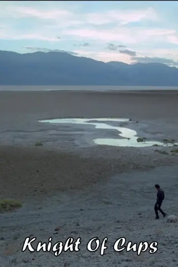 Poster to the movie "Knight of Cups" #900417
