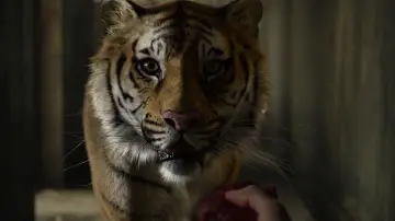 Backdrop to the movie "Life of Pi" #773172