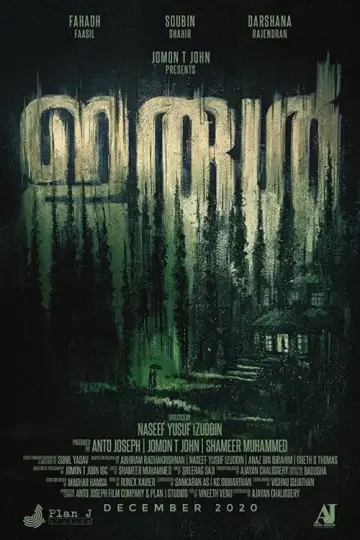 Poster to the movie "Irul" #873544
