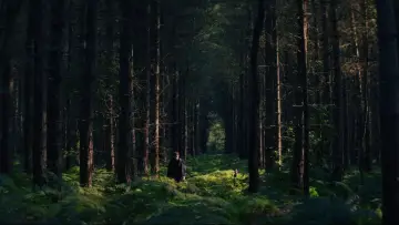 Backdrop to the movie "Wake Up Dead Man: A Knives Out Mystery" #522102