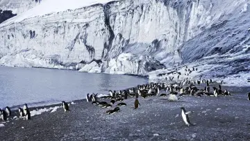 Backdrop to the movie "Antarctica: The Frozen Time" #1631988