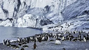 Backdrop to the movie "Antarctica: The Frozen Time" #1631992