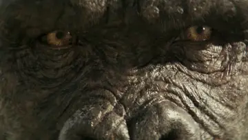 Backdrop to the movie "Godzilla x Kong: The New Empire" #565537