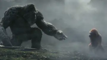 Backdrop to the movie "Godzilla x Kong: The New Empire" #565592