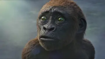 Backdrop to the movie "Godzilla x Kong: The New Empire" #747254