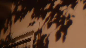 Backdrop to the movie "Bo Burnham: Inside" #1648240
