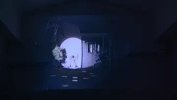 Backdrop to the movie "Bo Burnham: Inside" #1648277