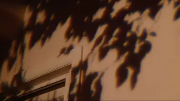 Backdrop to the movie "Bo Burnham: Inside" #750520