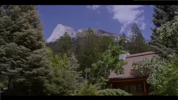Backdrop to the movie "Why?" #385961