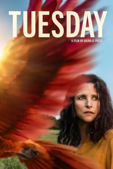 Poster to the movie "Tuesday" #532821