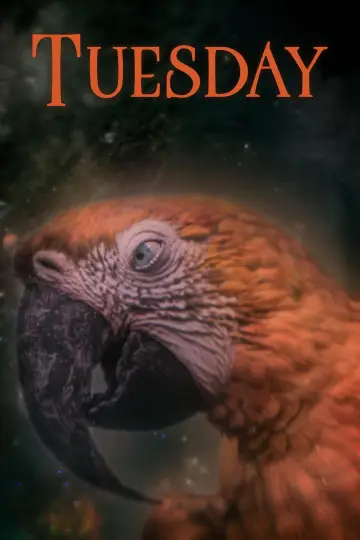 Poster to the movie "Tuesday" #532823