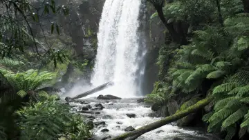 Backdrop to the movie "Force of Nature: The Dry 2" #430503