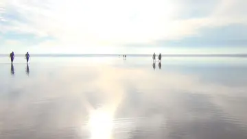 Backdrop to the movie "The Walkers" #1253414