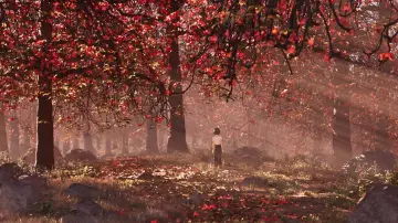 Backdrop to the movie "I Am What I Am" #946135