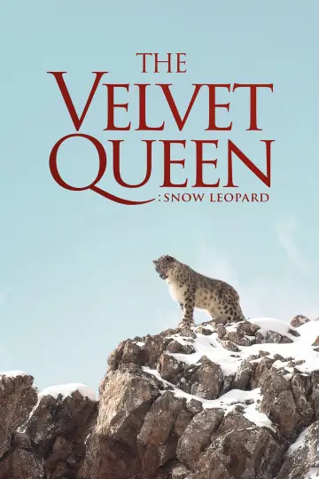 Poster to the movie "The Velvet Queen" #1028709