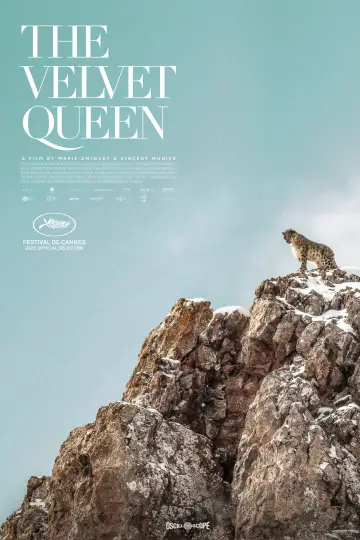 Poster to the movie "The Velvet Queen" #1028710