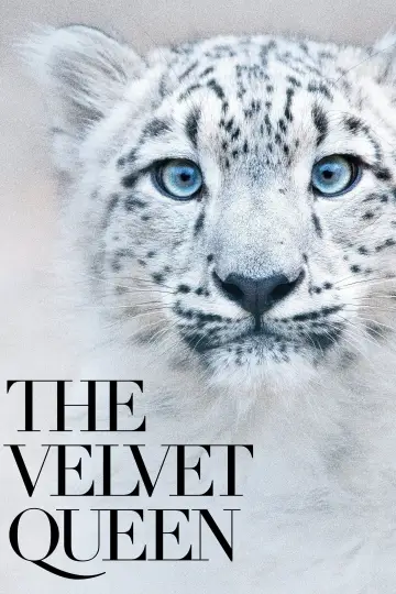 Poster to the movie "The Velvet Queen" #1028711