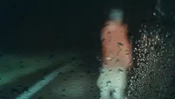 Backdrop to the movie "Dashcam" #407026