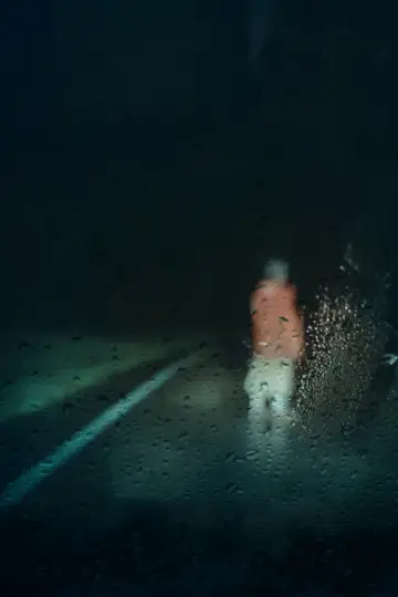 Poster to the movie "Dashcam" #455989