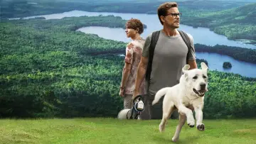 Backdrop to the movie "Dog Gone" #384461