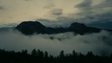 Backdrop to the movie "Oppenheimer" #556054