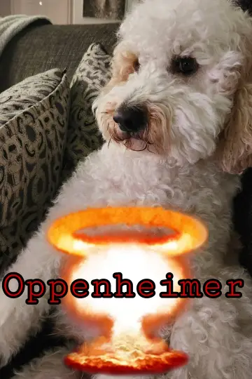 Poster to the movie "Oppenheimer" #959212